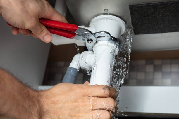 Best Ceiling water damage repair  in Land O Lakes, FL