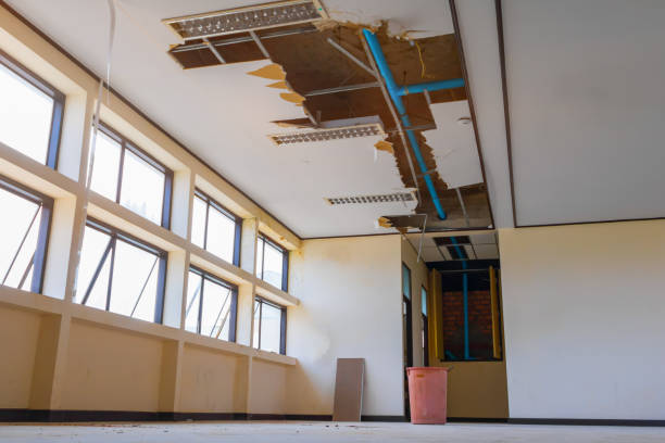 Best Water damage contractors near me  in Land O Lakes, FL