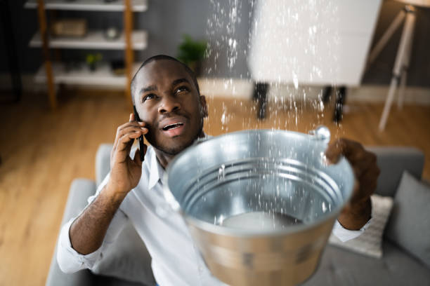 Best 24-hour water damage restoration  in Land O Lakes, FL