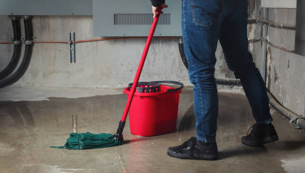 Best Flooded house restoration  in Land O Lakes, FL