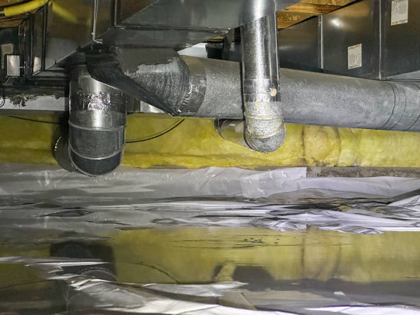 Best Commercial water damage restoration  in Land O Lakes, FL