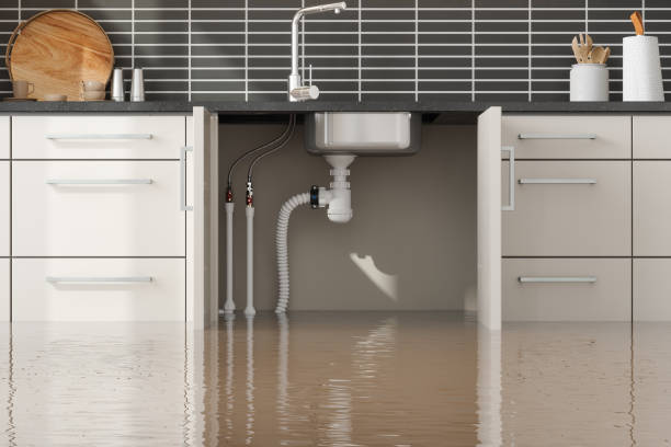 Best Carpet water damage restoration  in Land O Lakes, FL