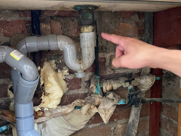 Best Water damage repair service  in Land O Lakes, FL