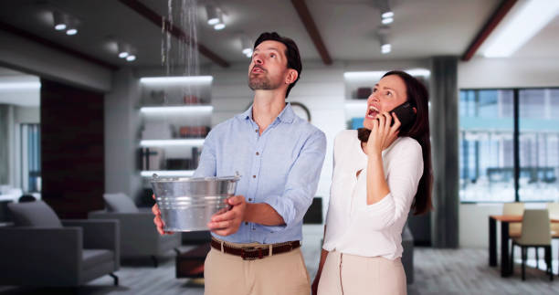 Best Professional water damage repair  in Land O Lakes, FL